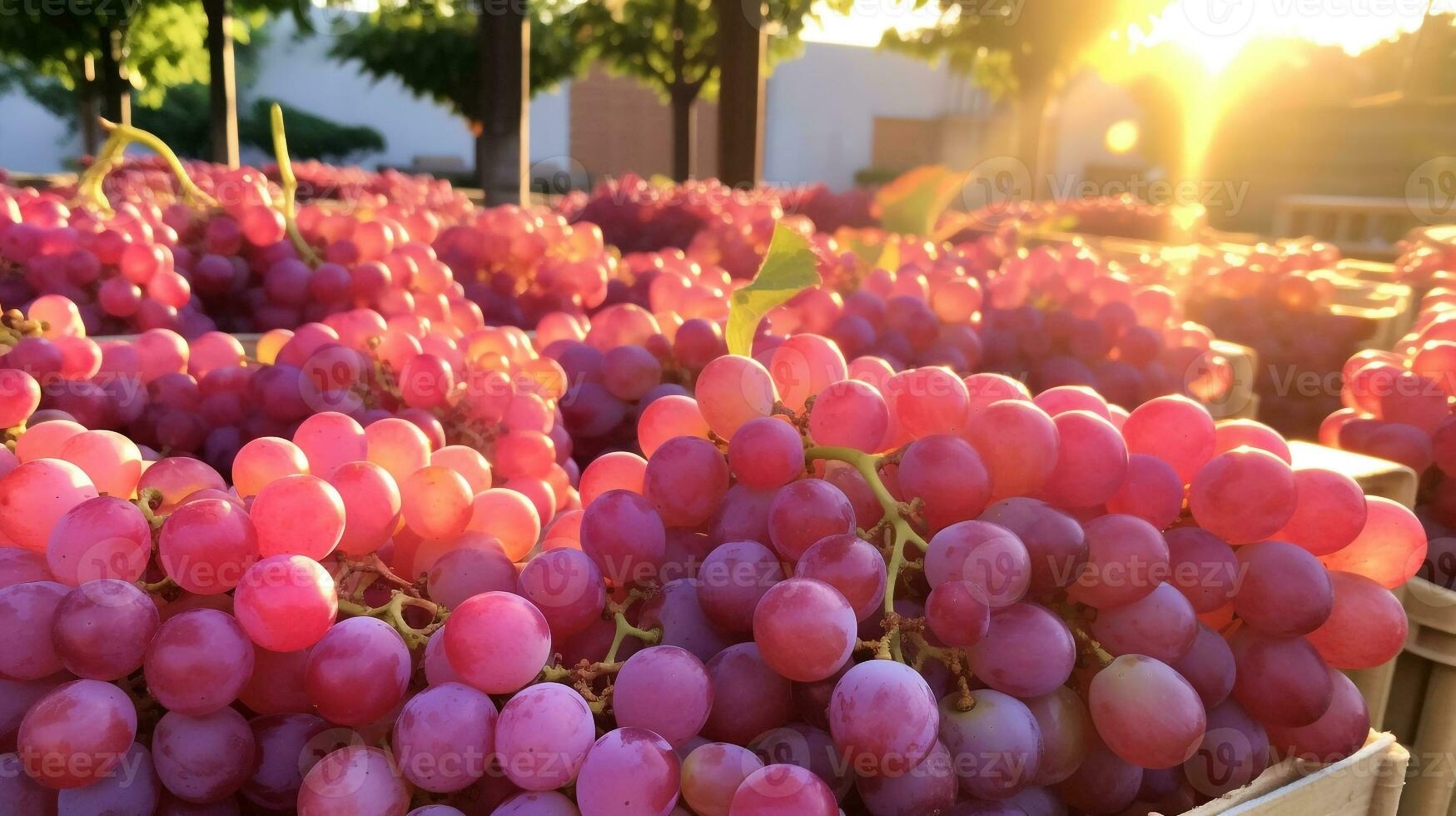 recién escogido uva Fruta desde jardín metido en el cajas generativo ai foto