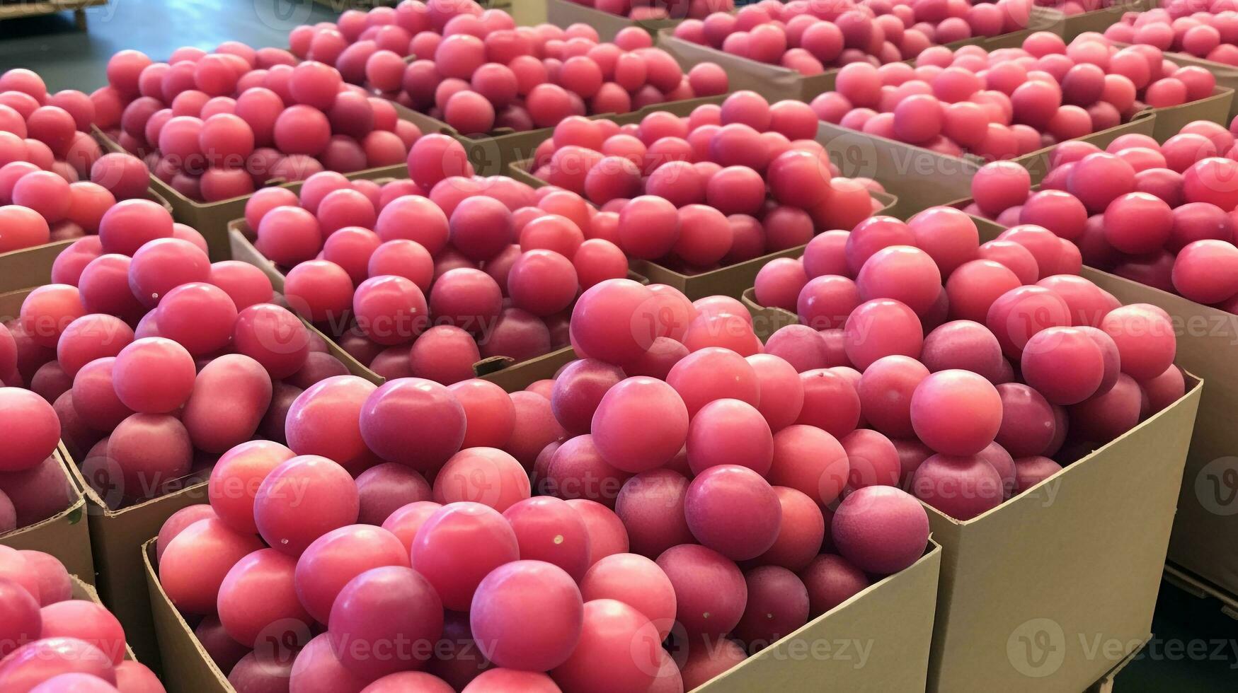 Freshly picked Japanese plum fruit from garden placed in the boxes. Generative AI photo