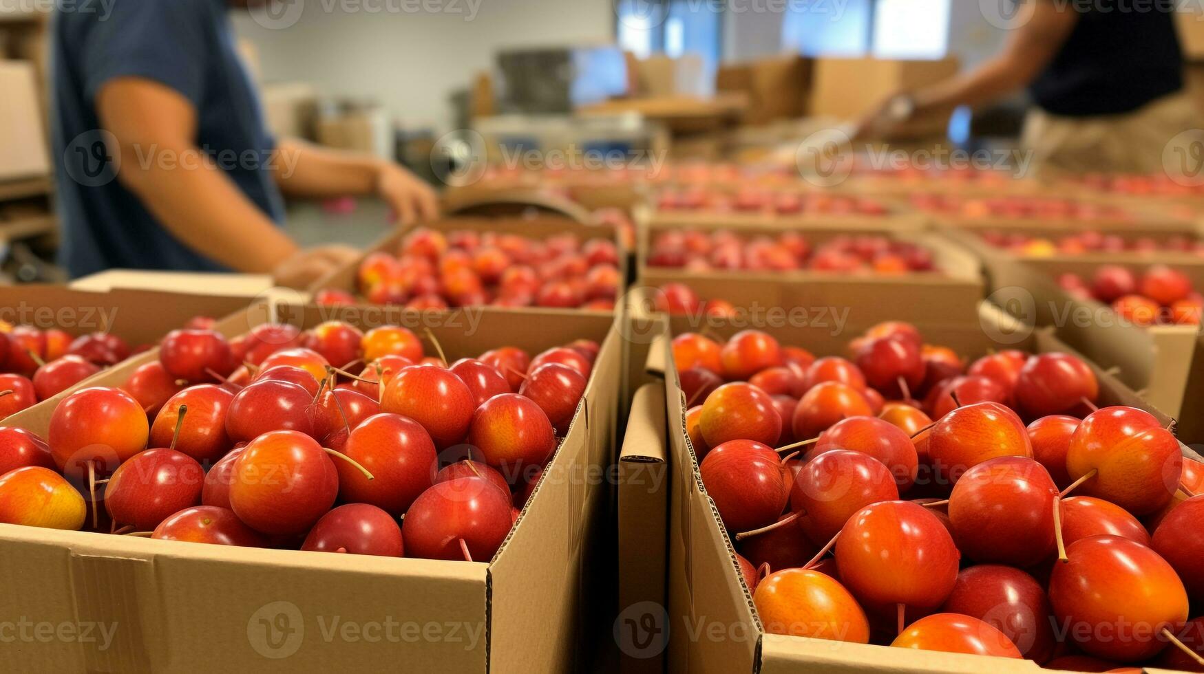 Freshly picked Erbis fruit from garden placed in the boxes. Generative AI photo