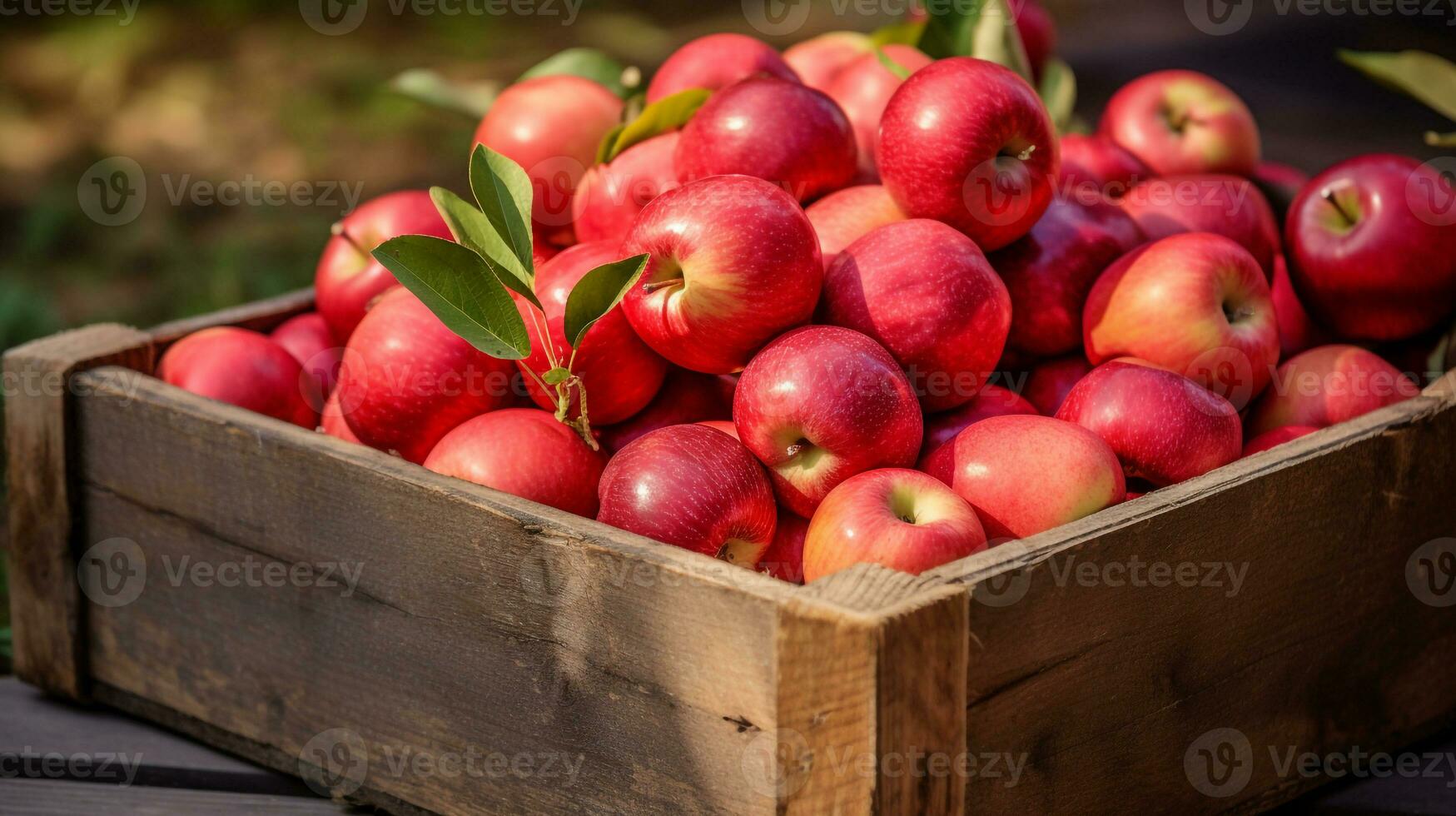 Freshly picked Apple fruit from garden placed in the boxes. Generative AI photo