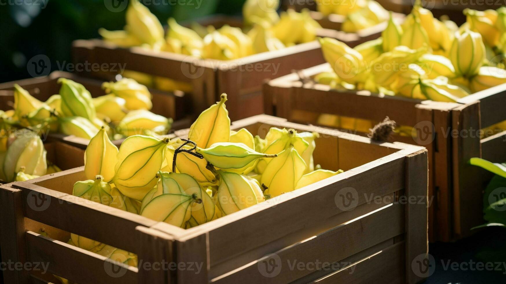 recién escogido carambola Fruta desde jardín metido en el cajas generativo ai foto