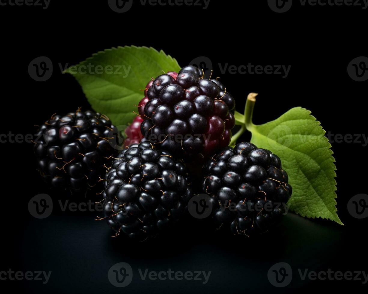 Photo of Marionberry isolated on white background. Generative AI