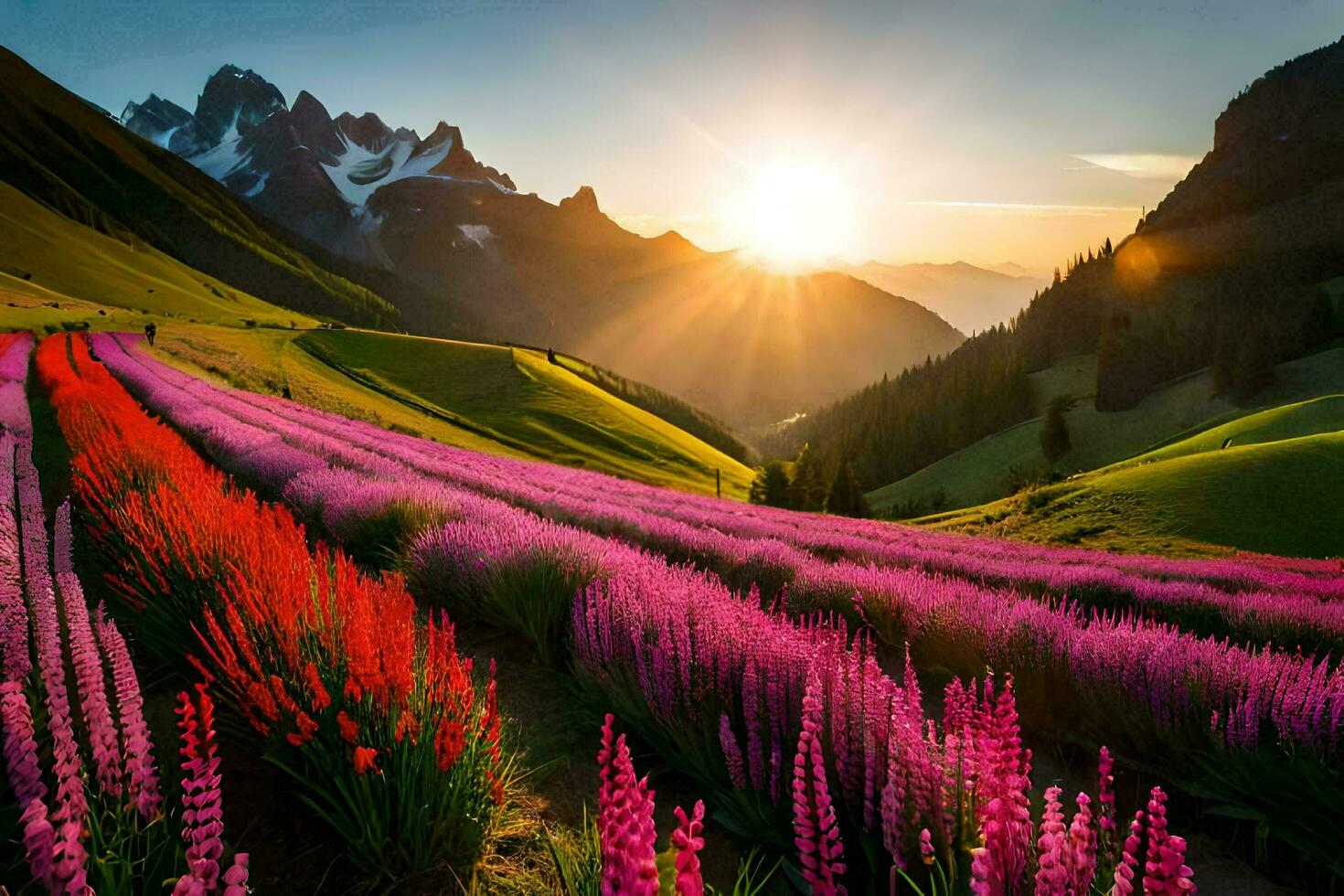 the sun rises over a field of purple flowers in the mountains. AI-Generated photo