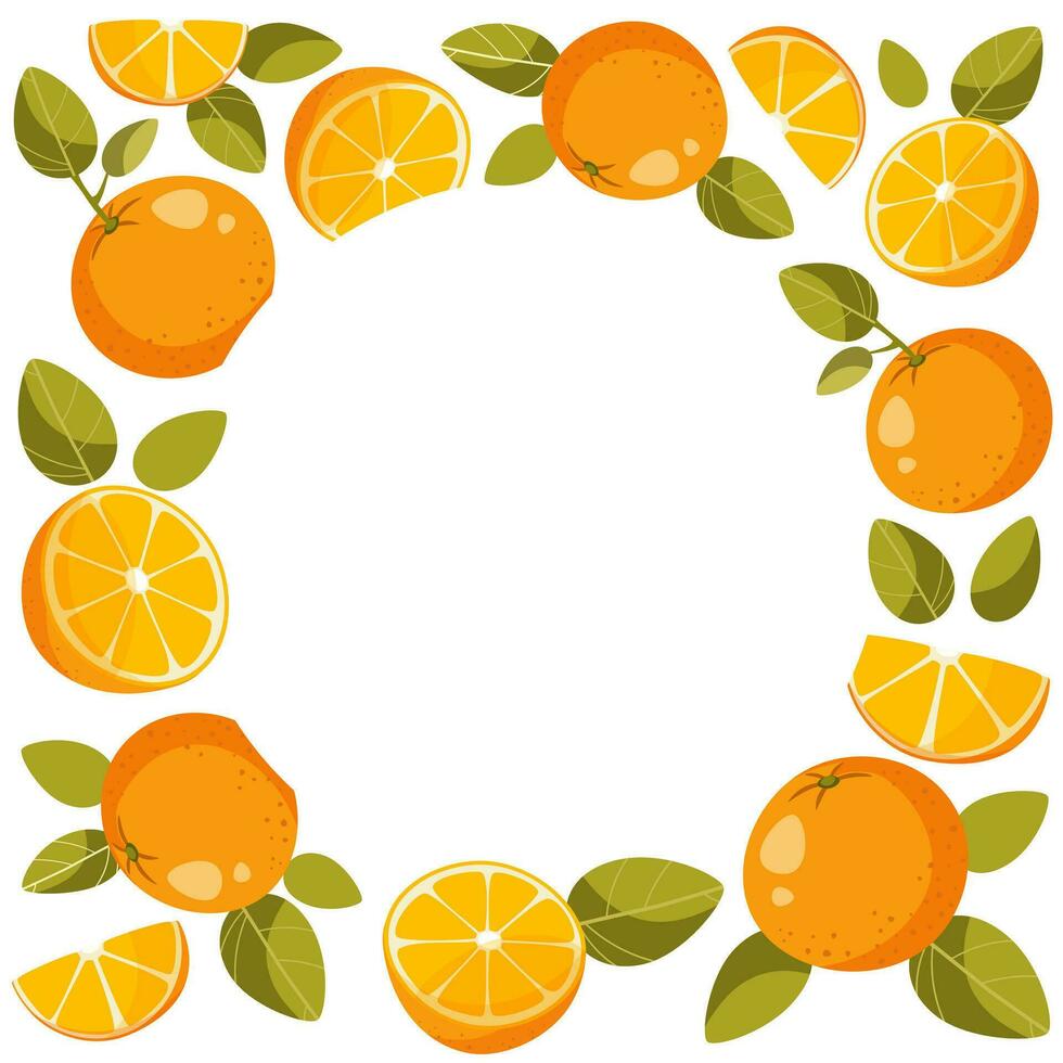 marco de un todo naranja con hojas y naranja rebanadas en un blanco antecedentes. un circulo de vacío espacio para texto en el medio. agrios antecedentes para naranja productos carteles, tarjetas vector ilustración.