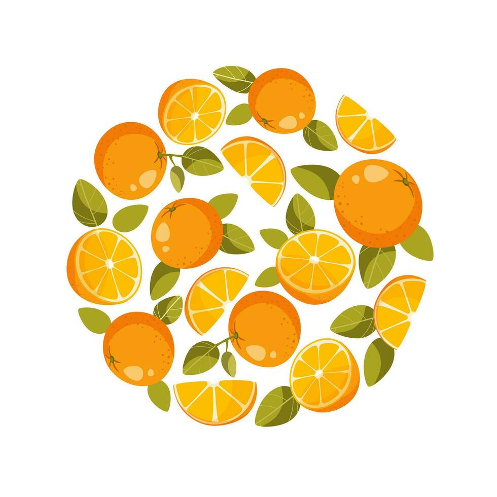 Round pattern of a whole orange with leaves and orange slices on a white background. Fresh citrus template for orange products posters, fruit festival cards, vegetarian products. Vector illustration.
