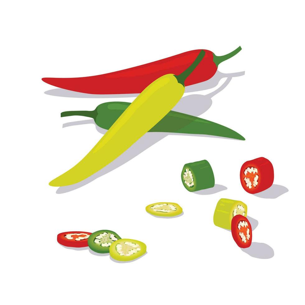 Set of chili illustration flat vector on white background. Whole chili, chili slices. Spices and herbs. Hand drawn. Red, green and yellow chili peppers.