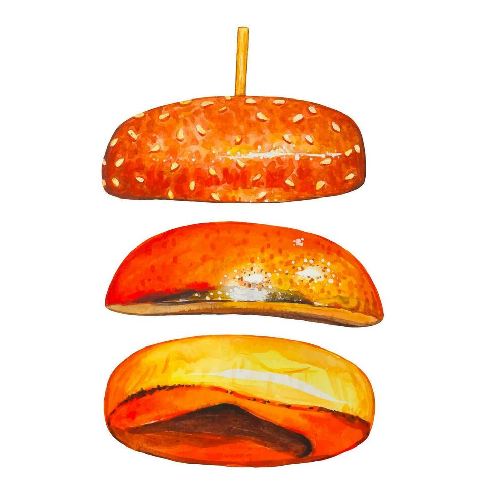 Burger buns, watercolor food illustration vector