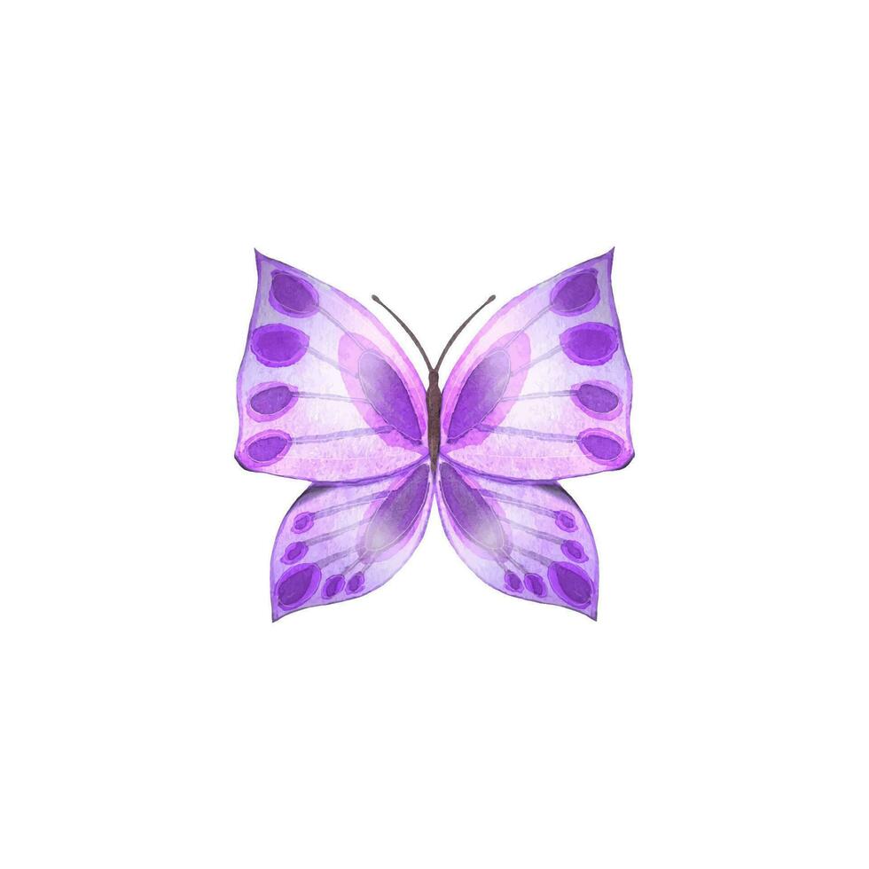 Hand drawn abstract butterfly in purple tones vector