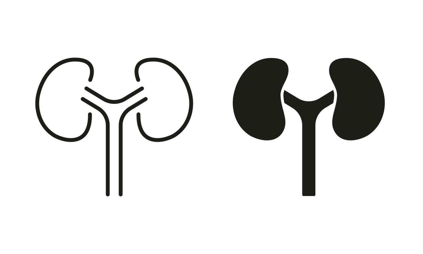 Human Kidney Line and Silhouette Icon Set. Kidneys Urology Disease, Dialysis Medical Treatment Symbol Collection. Anatomy of Renal Organ Pictogram on White Background. Isolated Vector Illustration.