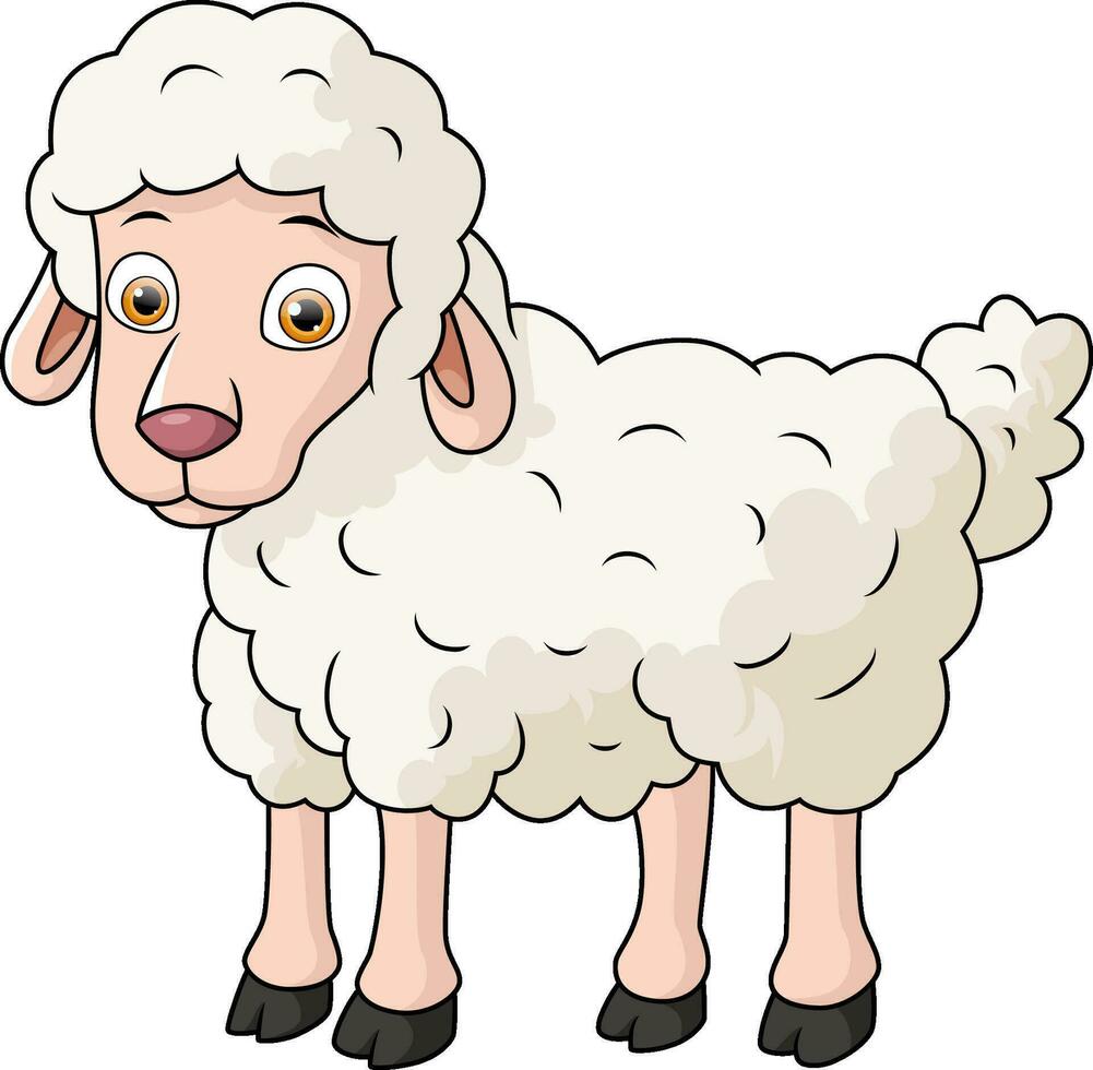 Cute baby sheep cartoon on white background vector