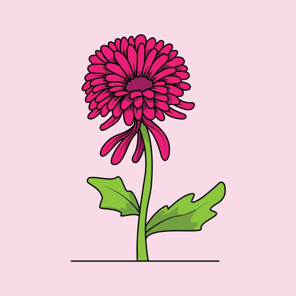 The Illustration of Chrysanthemums Flower vector