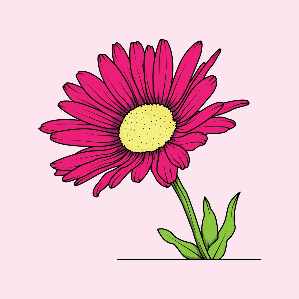 el ilustración de aster flor vector