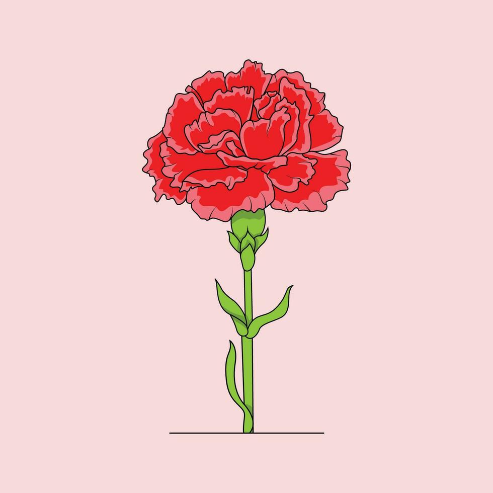 The Illustration of Carnations Flower vector