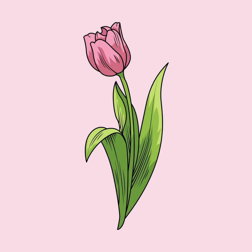 tulipán flor rosado el ilustración vector