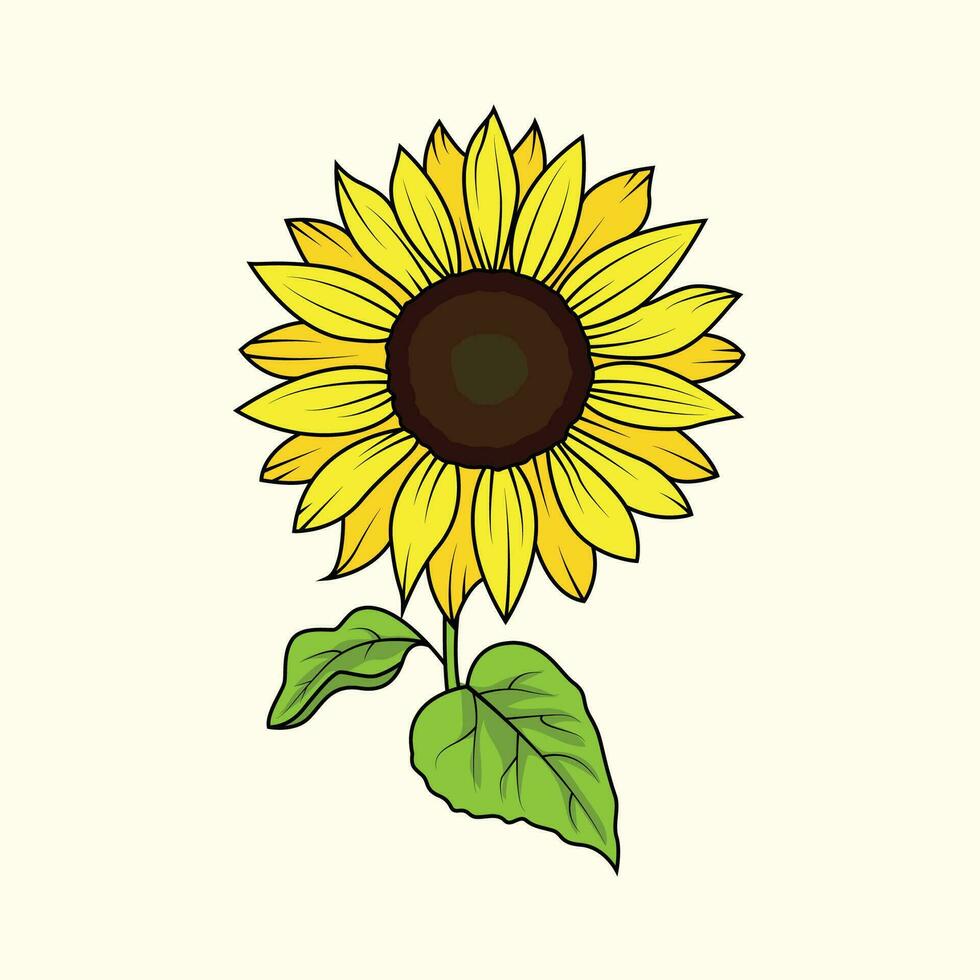 Sun flower The Illustration vector