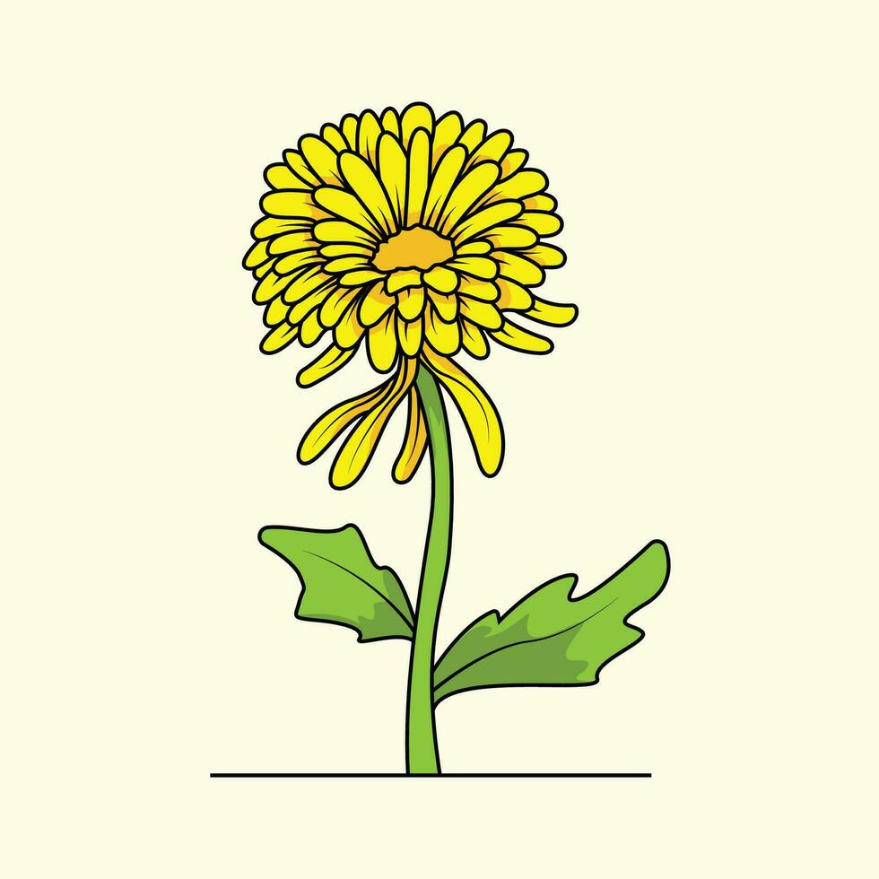 Chrysanthemums Flower The Illustration vector