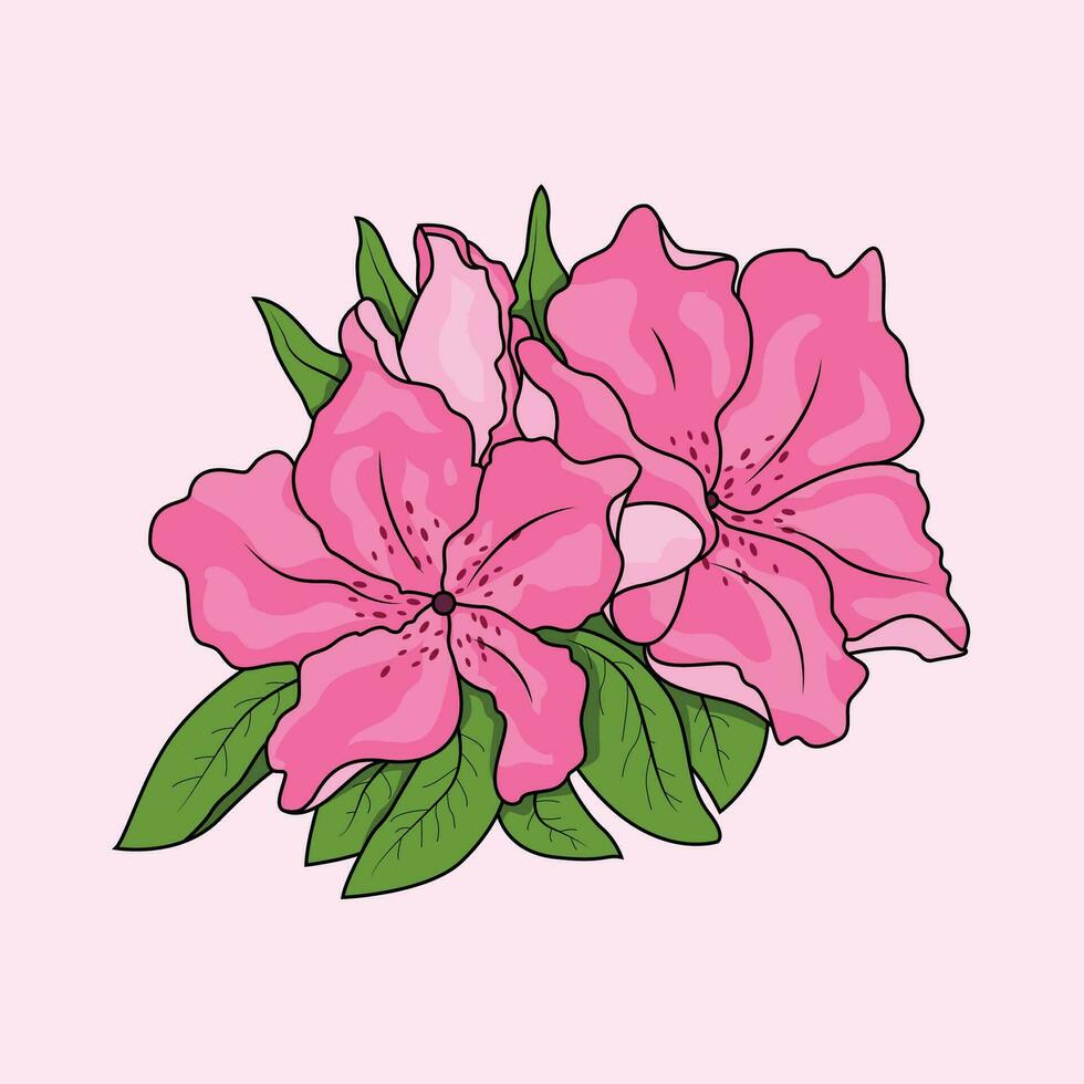 Azaleas Flower The Illustration vector