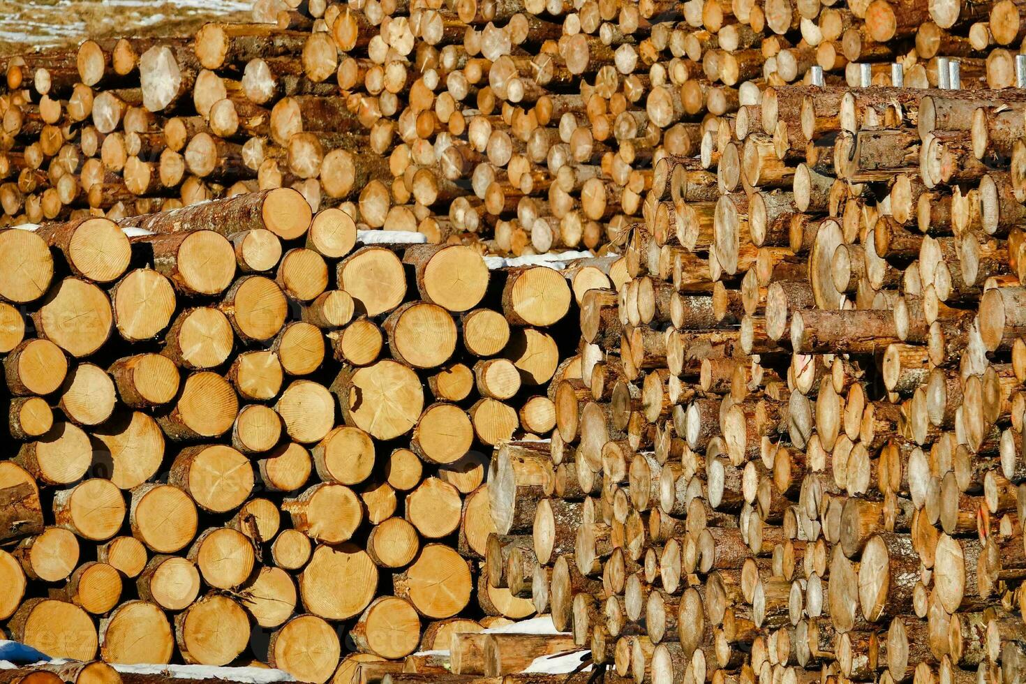 a pile of logs stacked on top of each other photo