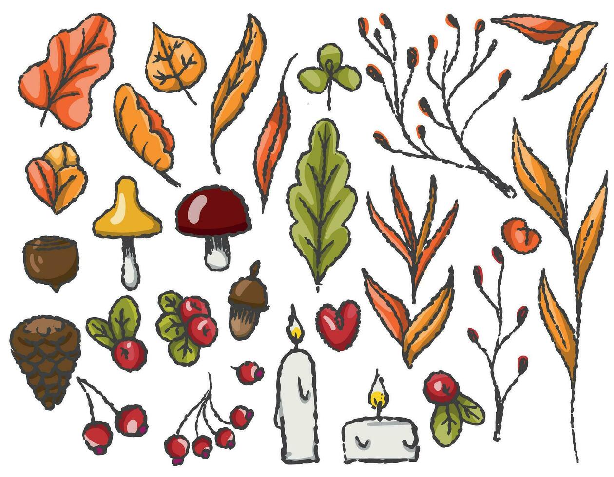 otoño conjunto de otoño elementos en un transparente fondo, línea dibujado con un cepillar, para embalaje y textil diseño. vector gráficos. hojas, hongos, bayas, velas, ramas