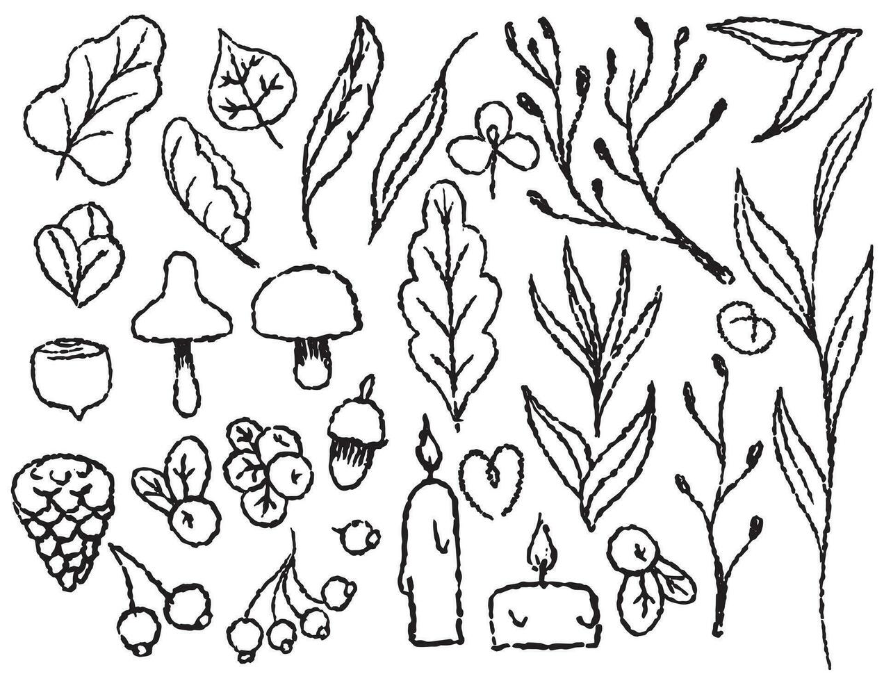 Autumn set of autumn elements on a transparent background, line drawn with a brush, for packaging and textile design. Leaves, mushrooms, berries, candles, branches vector