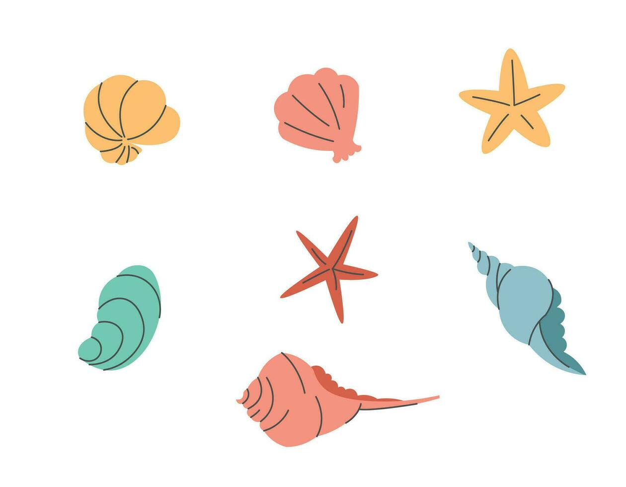 Set of seashells and starfish on a white background. Flat cartoon style with line elements. Flat shells for summer design vector