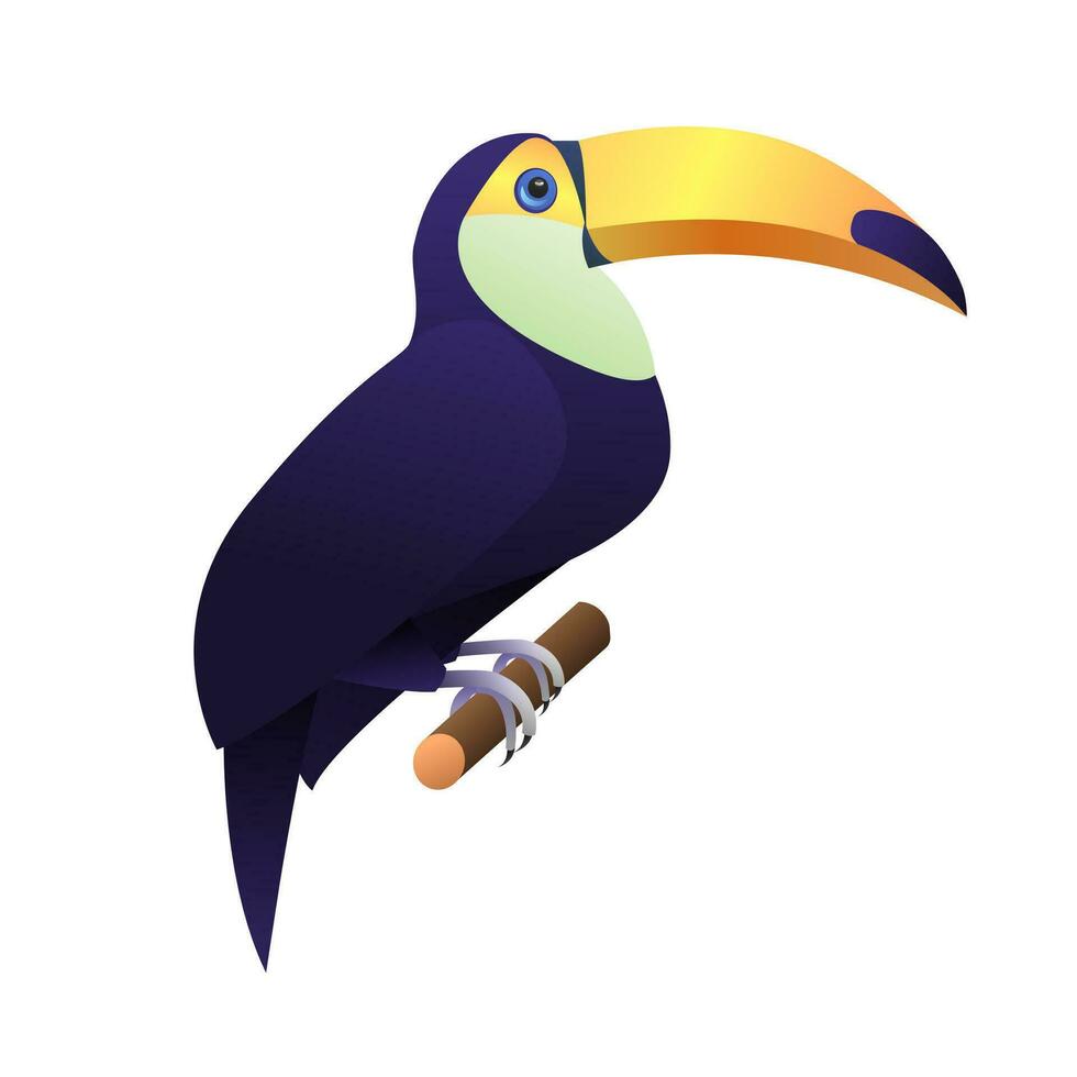 Toucan,  flat vector illustration of  bird