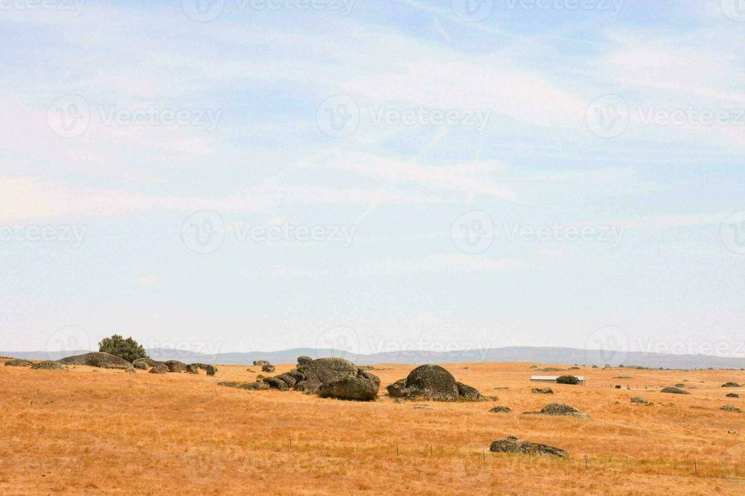 a field with rocks and grass on it photo