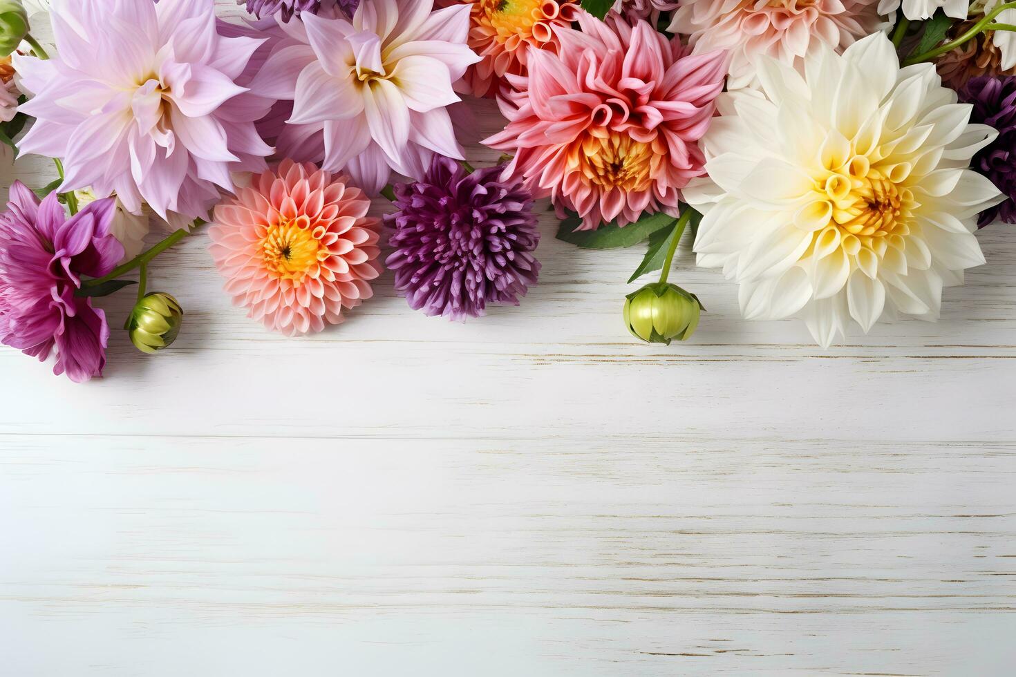Dahlia flowers on white wooden background, floral flat lay. Valentine's, womens, mothers day, birthday or wedding concept. Top view. Copy space. Generated AI. photo