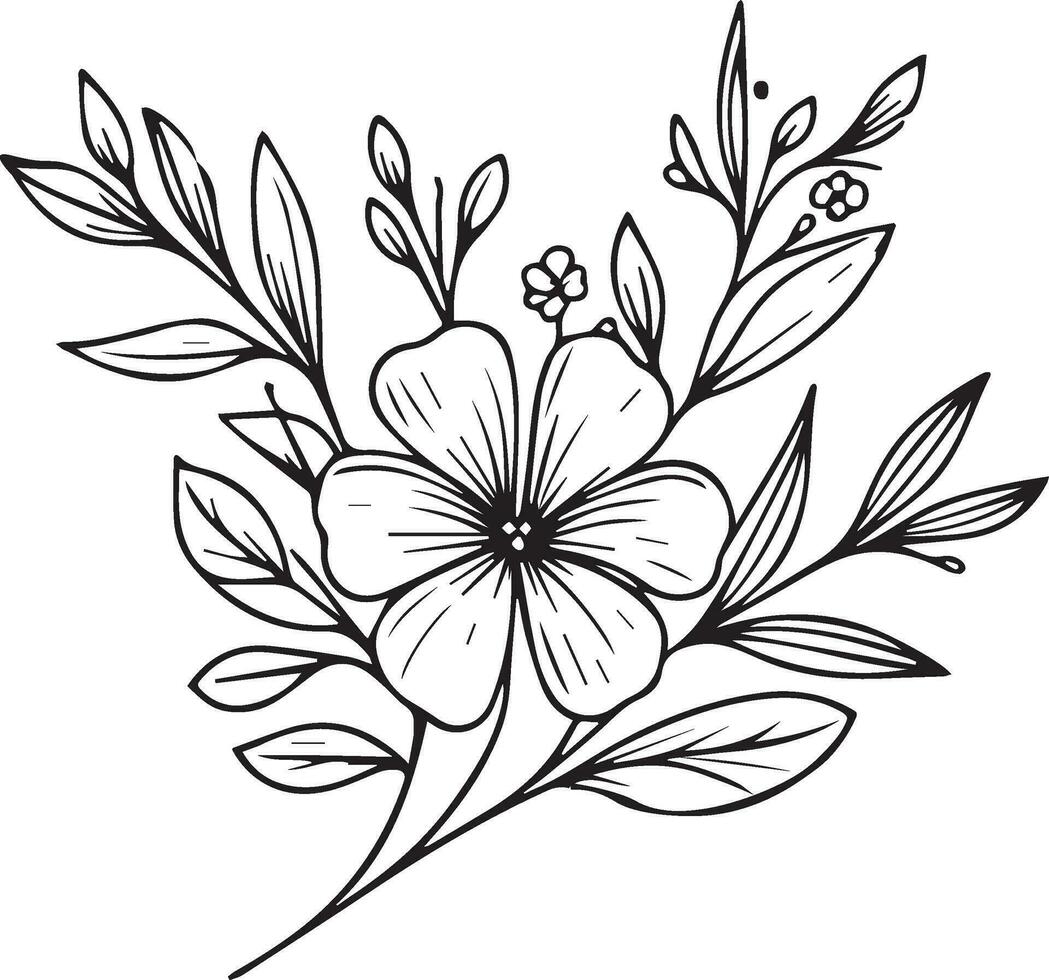 Periwinkle blossom flowers and branch of vase vector illustration. hand Drawing Catharanthus vector illustration for the coloring book or page Black and white engraved ink art, for kids or adults