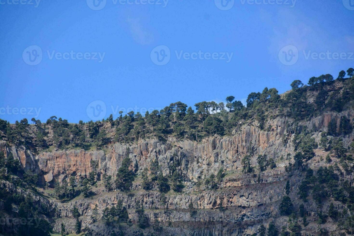 un montaña con arboles en parte superior de eso foto