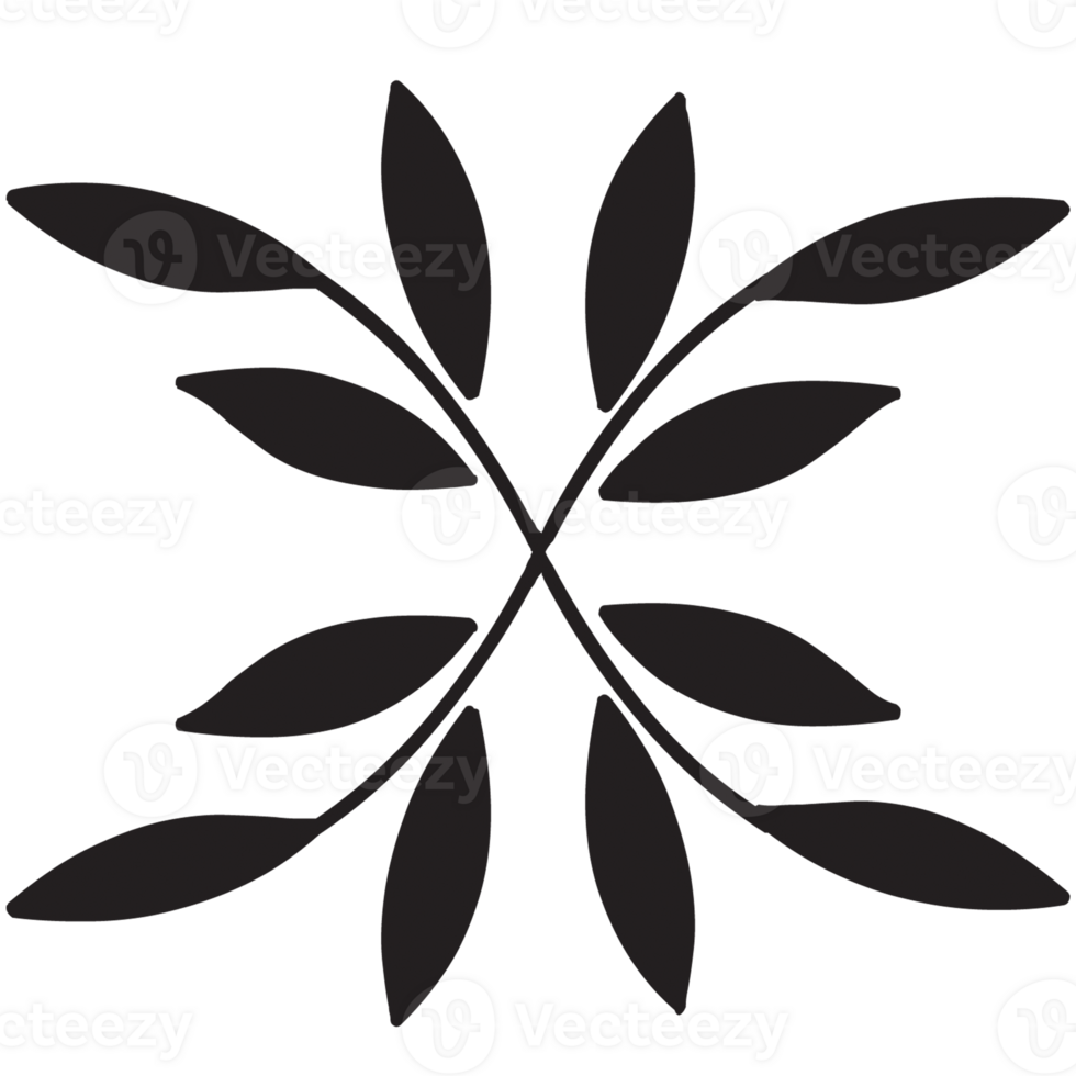 Hand Drawn Floral Doodle png