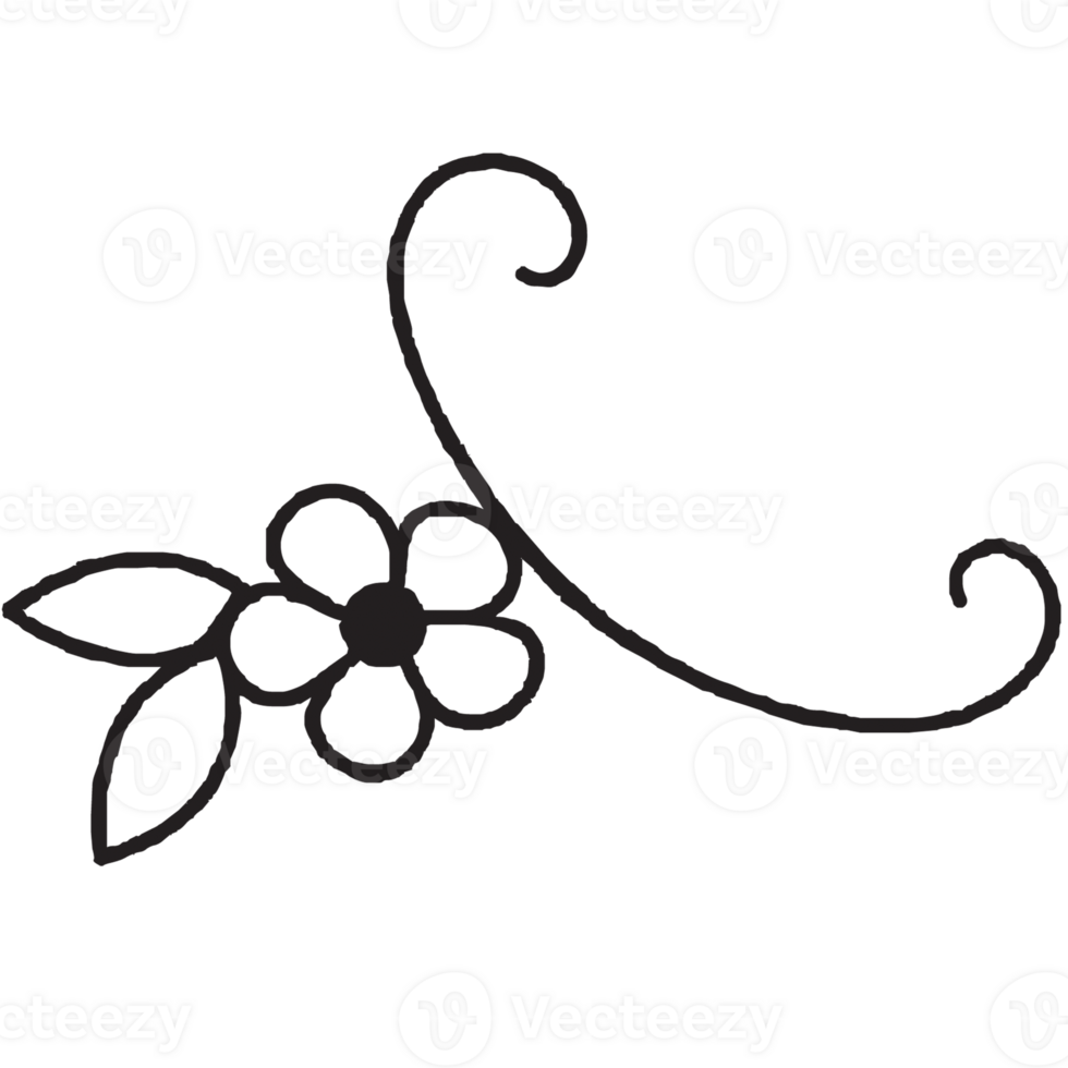 Hand Drawn Floral Doodle png