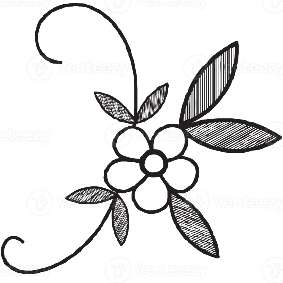Hand Drawn Floral Doodle png