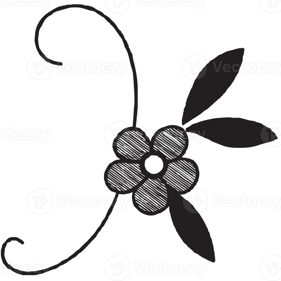 Hand Drawn Floral Doodle png