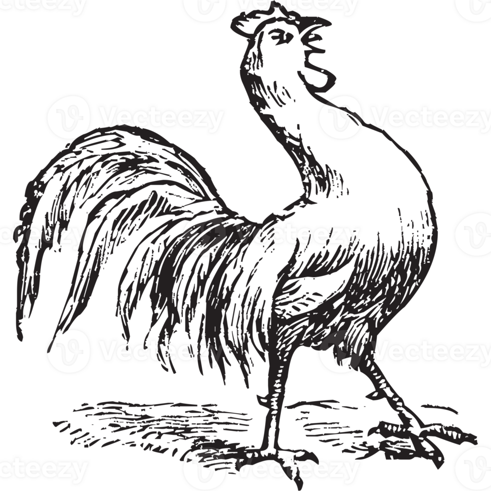 animal farm, animal wild png