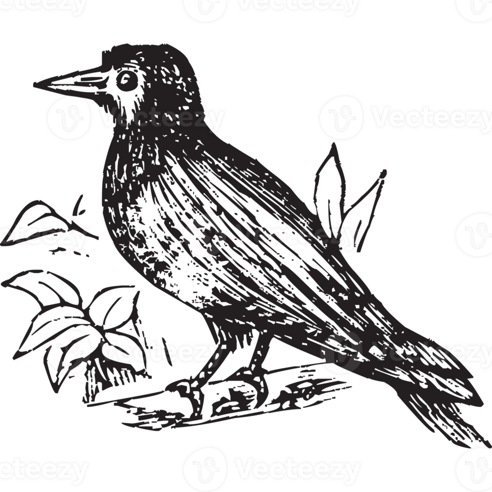 animal farm, animal wild png