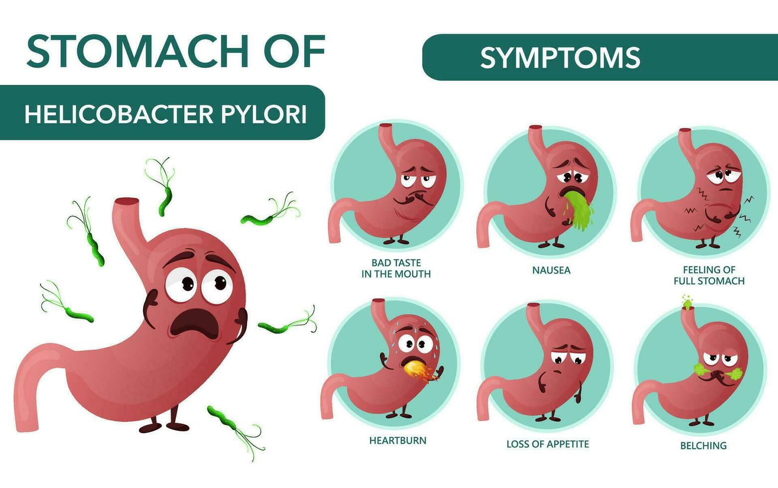 Symptoms helicobacter pylori infographic with cartoon stomach characters vector