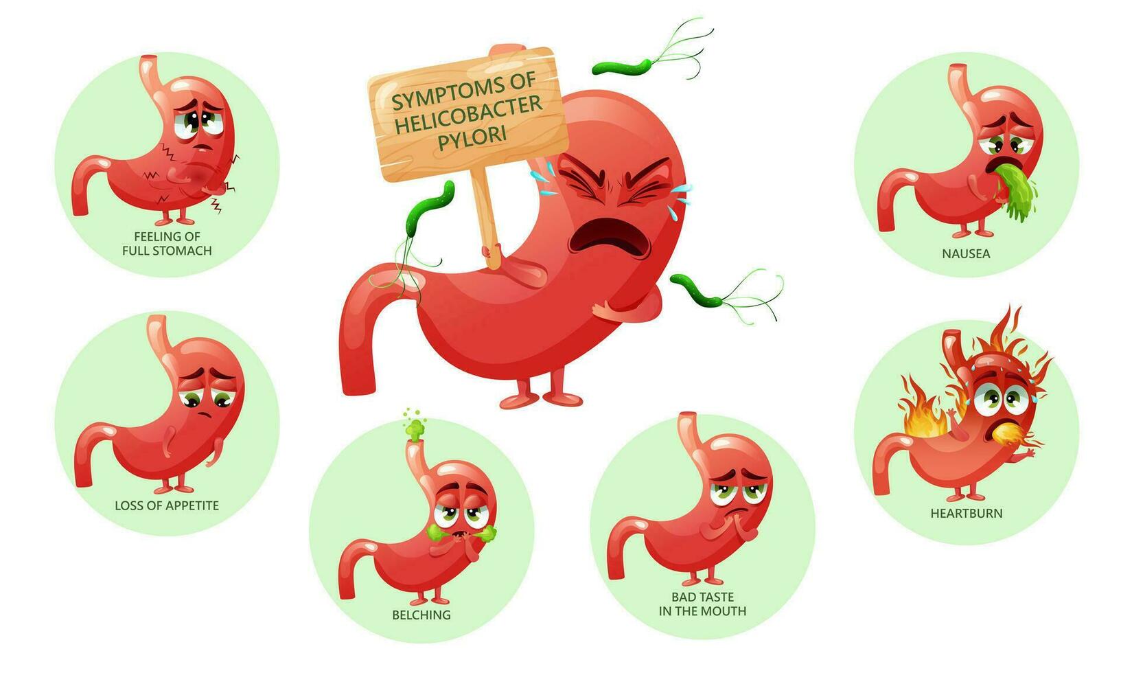 helicobacter pylori infección síntomas dibujos animados estómago caracteres infografía vector