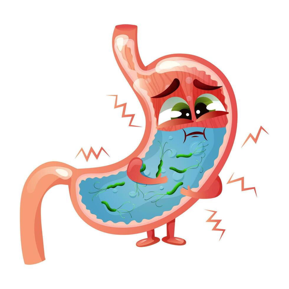 Sad cartoon stomach character with face and helicobacter pylori bacteria inside vector