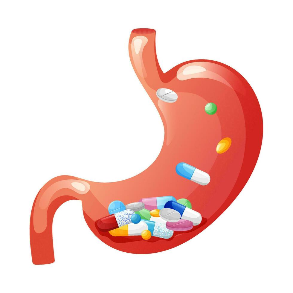 humano estómago con fármaco cápsulas, tabletas y pastillas vector