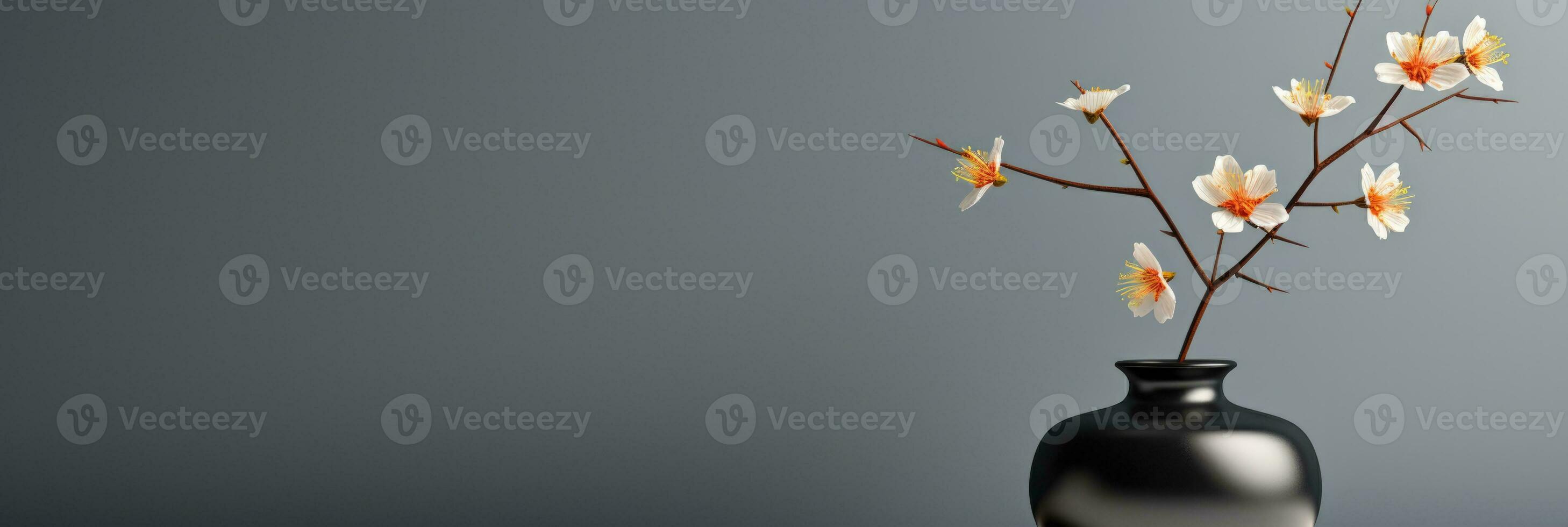A minimalist black vase with a single white flower isolated on a gray gradient background photo