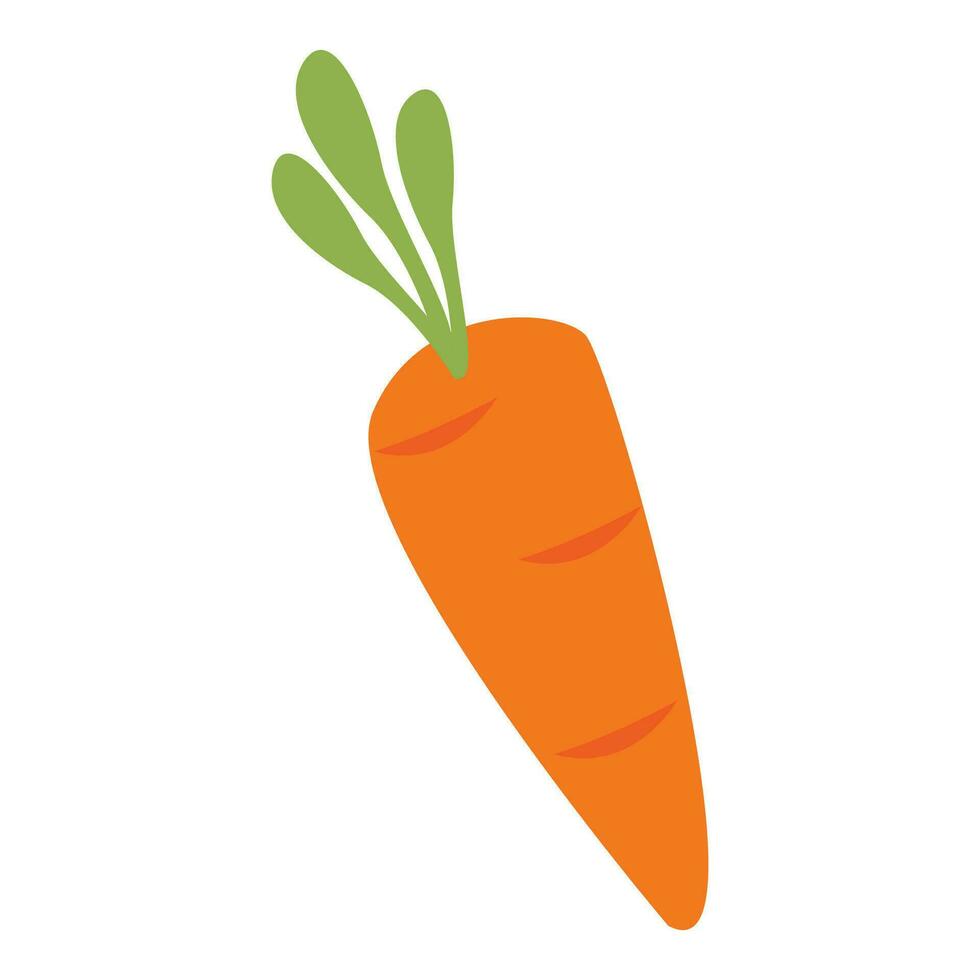 Vector healthy orange carrots graphic illustration