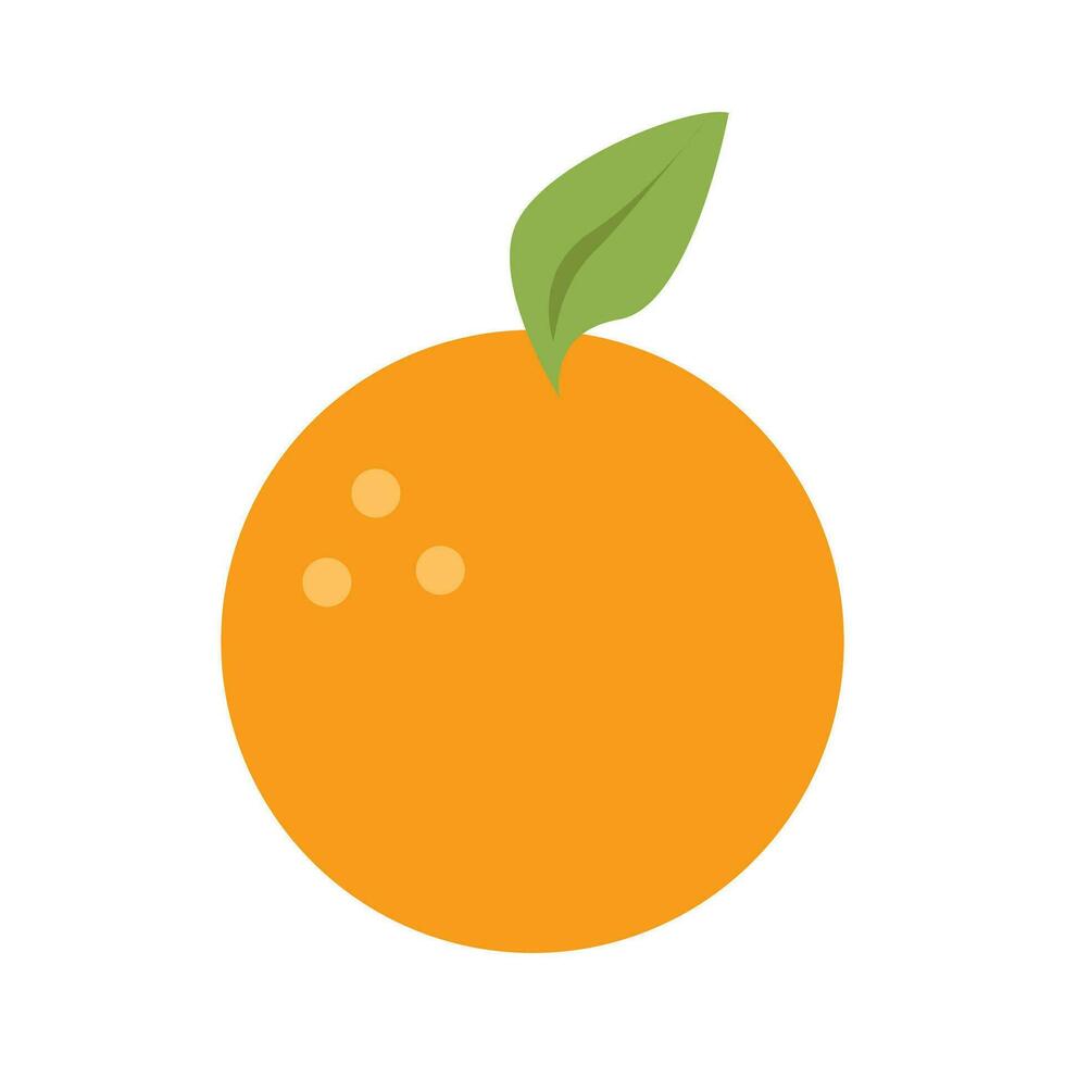 Vector orange fruit on white background