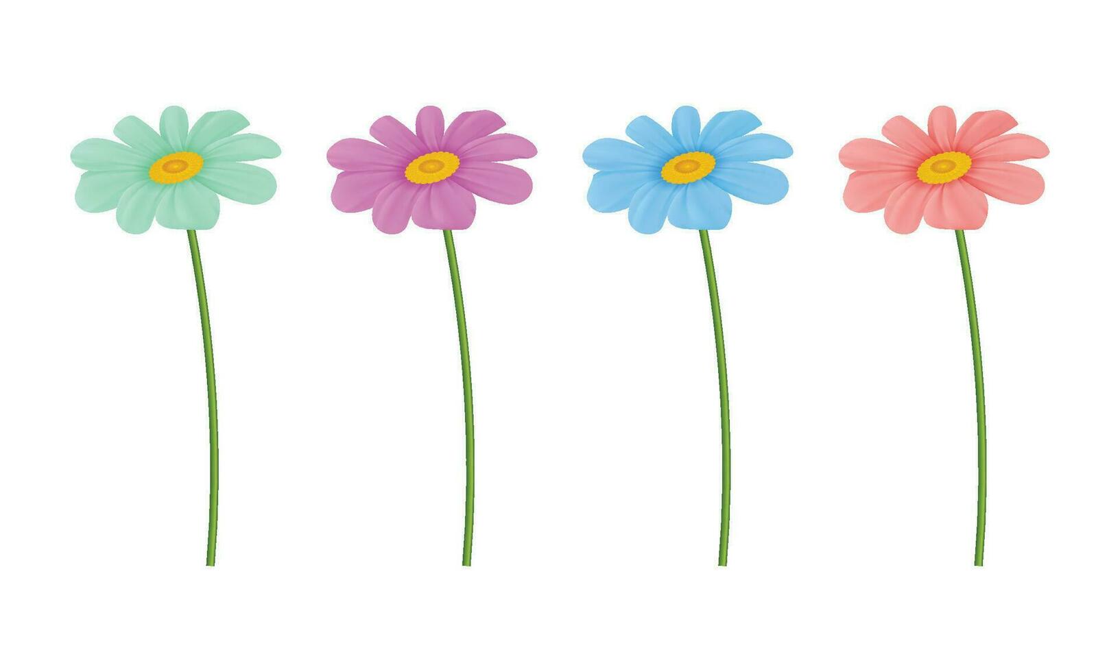 Vector realistic colorful chrysanthemum flowers casting shadow on white background-01