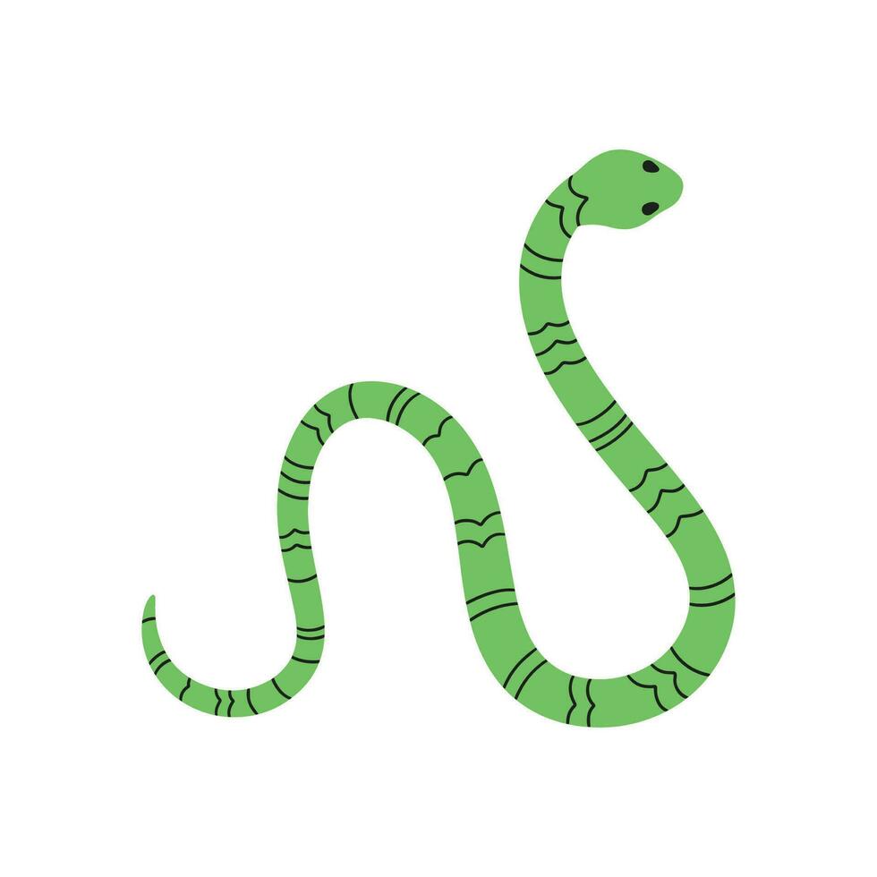 Vector flat snake on white background