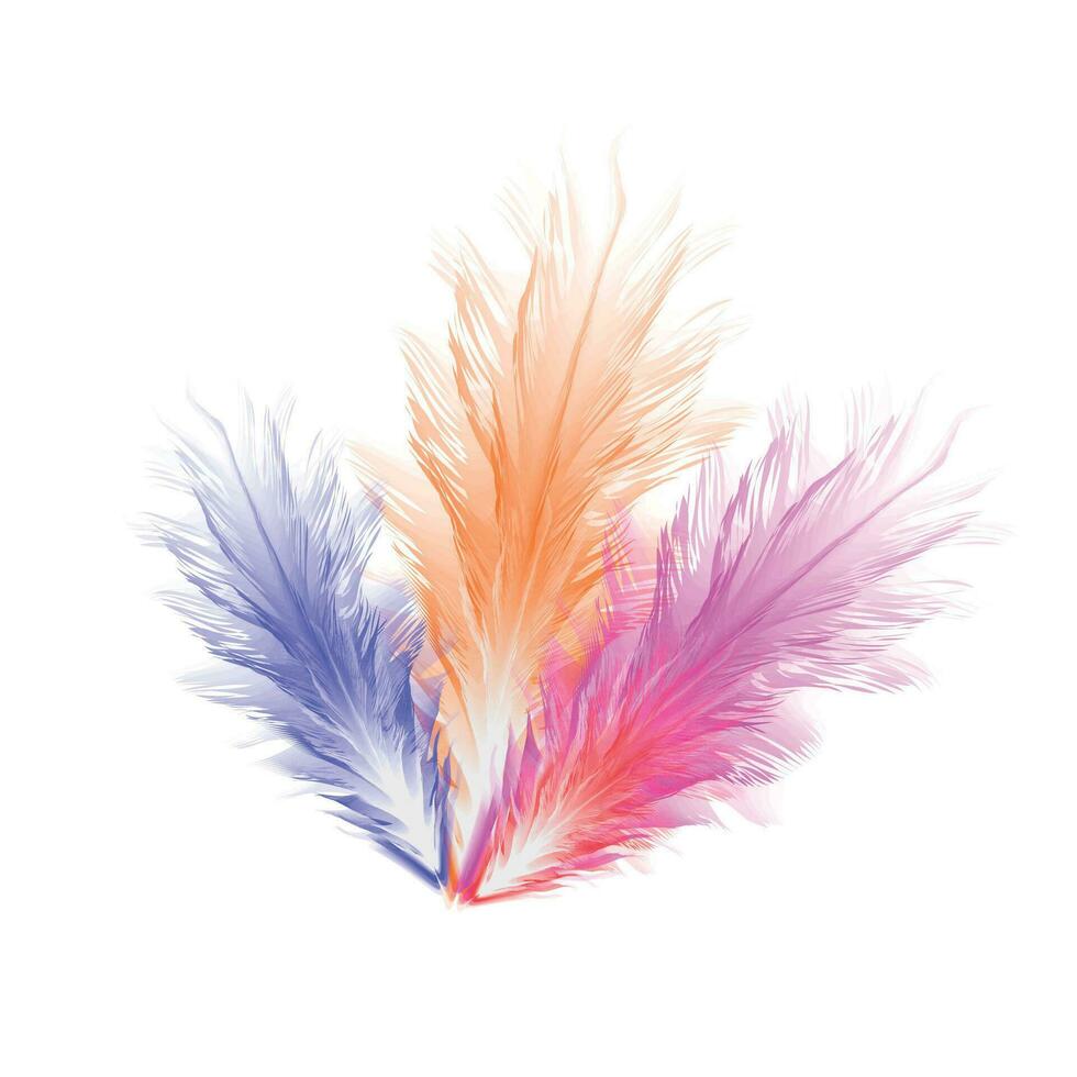 Vector realistic feather set with soft isolated feathers