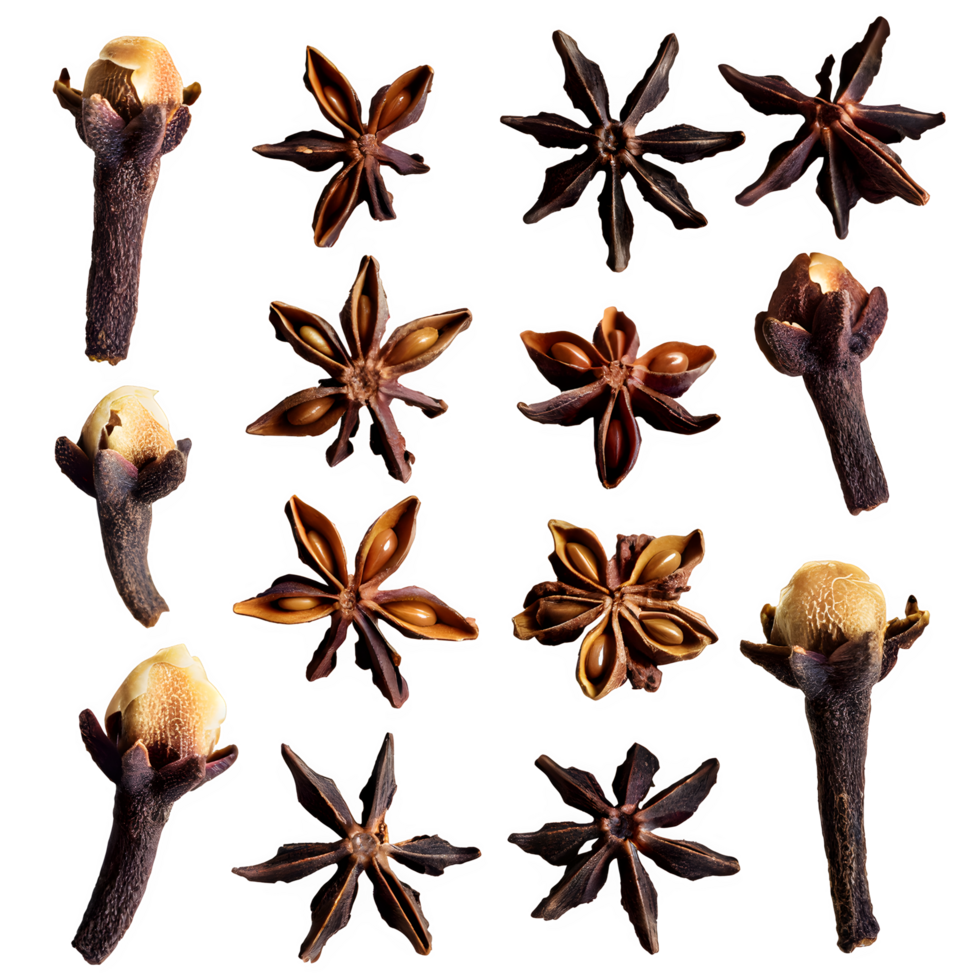 Set dried cloves png on isolated transparent background