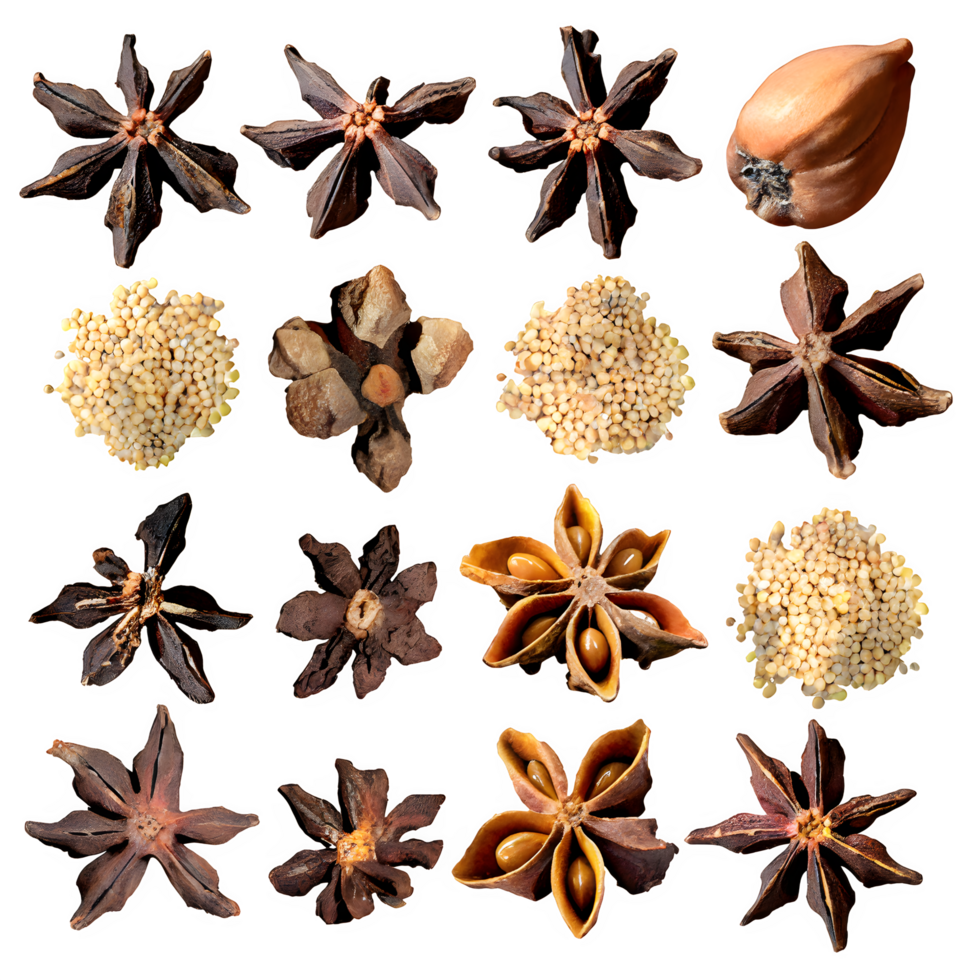 Set dried cloves png on isolated transparent background 34333456 PNG