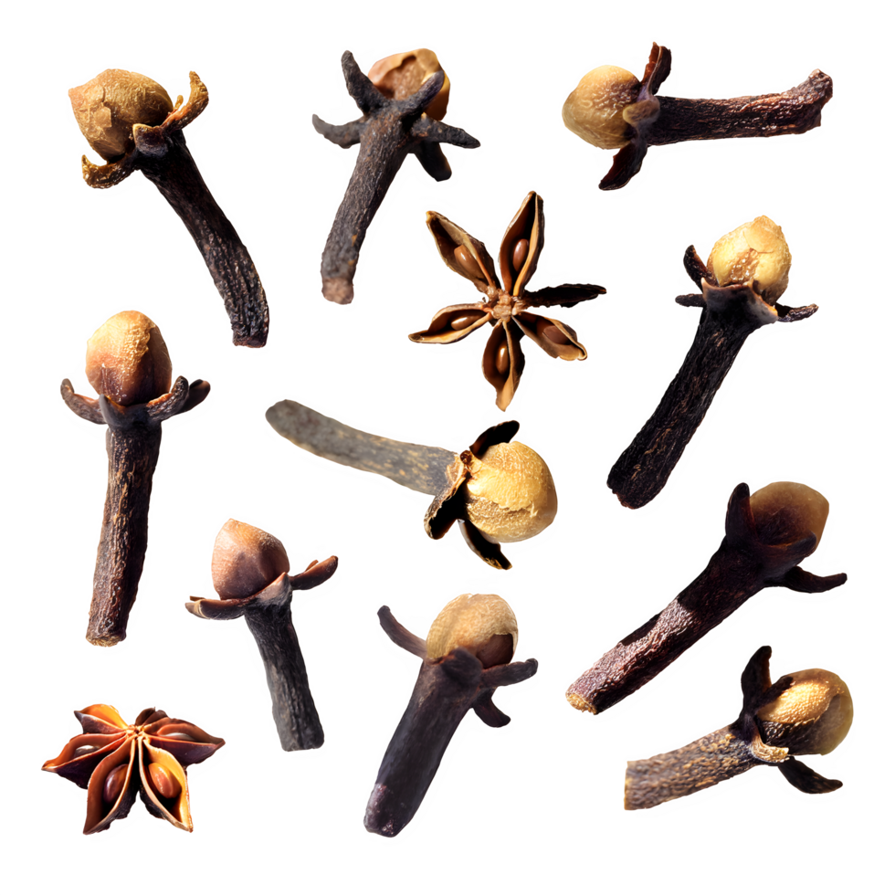 Set dried cloves png on isolated transparent background