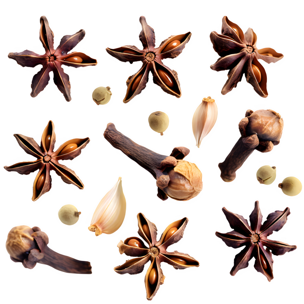 Set dried cloves png on isolated transparent background